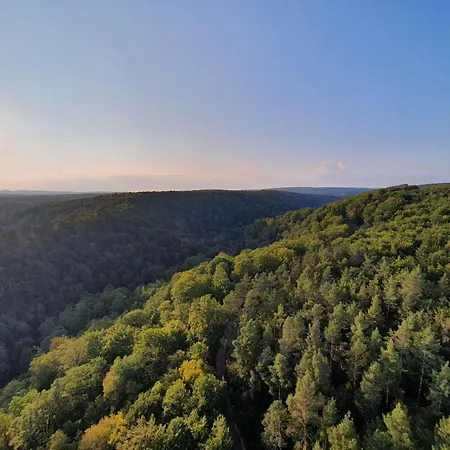 Western Bierkulturhotel Schwanen Ehingen (Alb-Donau)
