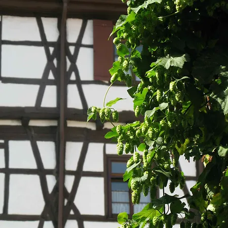 Hotel Western Bierkulturhotel Schwanen Ehingen (Alb-Donau)